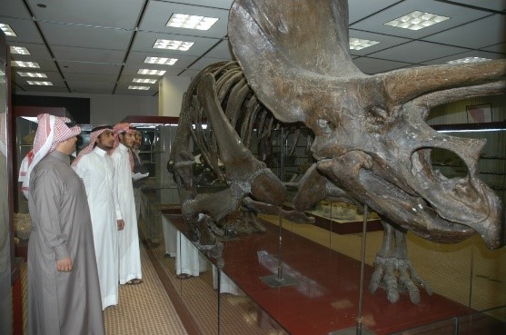 Geology Educational Museum