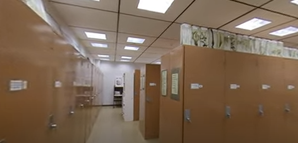 The Herbarium